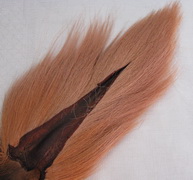 bucktail large root beer